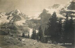 Switzerland Postcard Wengen Mettlenalp - Sonstige & Ohne Zuordnung