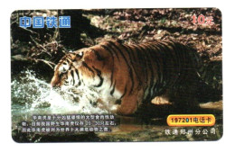 Tigre  Jungle Animal  Télécarte  Phonecard  Karte (K 346) - Chine
