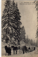 Montagne Du Doubs Ouverture Des Chemins En Hiver Environs Maiche Ornans - Altri & Non Classificati