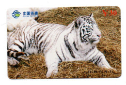 Tigre  Jungle Animal  Télécarte  Phonecard  Karte (K 347) - Chine