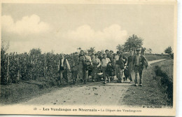 - 58 -NIEVRE- LES. VENDANGES. EN NIVERNAIS - Départ Des Vendangeurs - Autres & Non Classés