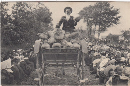 CPA (29)PAYS DE CORNOUAILLES Festin 800 Personnes - Autres & Non Classés