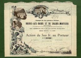 T-FR Eaux Minérales Et Thermales De Brides-Les-Bains Et De Salins-Moutiers LYON 1894 - Sonstige & Ohne Zuordnung