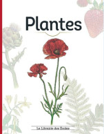 Plantes - Other & Unclassified