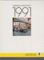 Agenda 1991 Région Nord Pas-de Calais Photos Des Conseillers Régionaux , Liste Des Communes, Une Photo Par Semaine.Lille - Groot Formaat: 1991-00