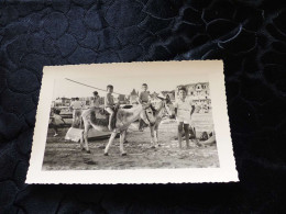 P-59 , Photo Animal, Ballade à Dos D'âne Sur La Plage Des Sables D'Olonne, Circa 1935 - Otros & Sin Clasificación