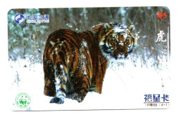 Tigre  Jungle Animal  Télécarte  Phonecard  Karte (K 350) - Chine