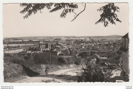 77 MONTEREAU N°25.406 Vue Panoramique Pont Métallique Grandes Cheminées Femme Promenant Son Chien VOIR DOS - Montereau