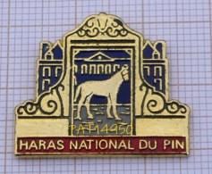 PAT14950  HARAS NATIONAL DU PIN  CHEVAL Dpt 61 ORNE - Animaux