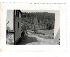 Ref 1 - Photo :  Vue De Ma Chambre Au Trois-Epis - France . - Europa