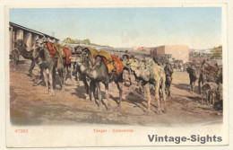 Tanger / Morocco: Caravanne - Camel Caravan (Vintage PC ~1900s) - Autres & Non Classés