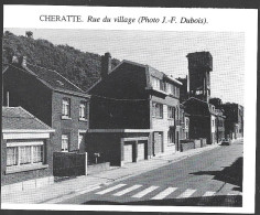 1980  --  BELGIQUE . CHERATTE . COIN DU VILLAGE . 4B110 - Non Classés