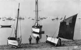 P-24-Mi-Is-1021 : CANCALE - Cancale