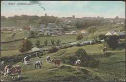 General View, Shaftesbury, Dorset, 1916 - JW Pearson Postcard - Altri & Non Classificati