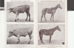 PUB FARINE DE NUCLEINE LAVOCAT A LYON CHEVAL ET TAUREAU - Other & Unclassified