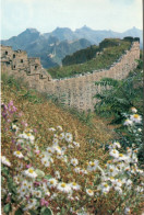 CHINA - Spring Scene Of The Great Wall - Cina