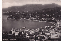 Cartolina Rapallo ( Genova ) Panorama - Genova