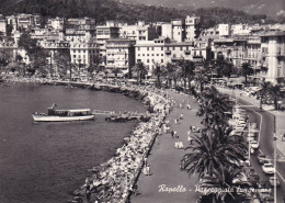 Cartolina Rapallo ( Genova ) Passeggiata - Lungomare - Genova (Genoa)