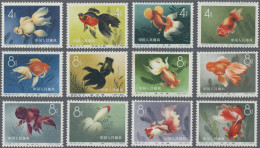 China (PRC): 1960, Goldfish (S38), Completely Set Of 12, MNH (Michel €700). - Unused Stamps