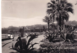 Cartolina Rapallo ( Genova ) Incanto Di Fiori Agavi E Palme - Genova (Genoa)