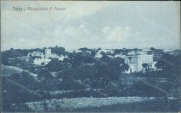 Cs60 Cartolina Selva Villeggiatura Di Fasano Provincia Di Brindisi 1930 - Brindisi