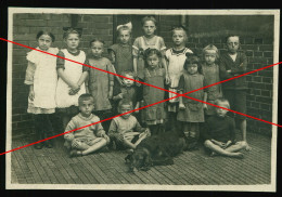 Orig. Foto 20er Jahre Süße Mädchen & Jungs, Hund, Zöpfe, Cute Girls & Boys, Dog Together Typical 20s, Pigtails - Anonymous Persons