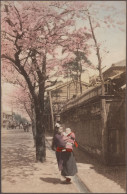 Japan - Specialities: 1900/1950, Comprehensive Collection Of Approx. 960 Picture - Other
