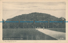 R013895 Calcutta. Great Banyan Tree. D. Macropolo. B. Hopkins - Wereld
