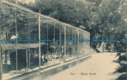 R013901 Para. Museo Goeldi. G. Huebner. B. Hopkins - Wereld