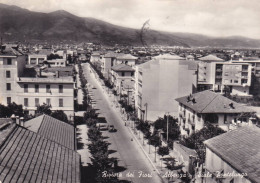 Cartolina Albenga - Riviera Dei Fiori ( Savona ) Viale Pontelungo - Savona