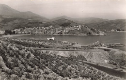 FRANCE - Banyuls - Vue Générale De La Ville Et Les Vignobles - Carte Postale - Banyuls Sur Mer