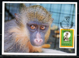 PORTOGALLO COLONIE MACAO PORTUGAL COLONIES MACAU 1992 LUNAR DO MACACO LUNAR YEAR OF MONKEY 4.50 MAXI MAXIMUM CARD CARTE - Maximum Cards