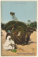 Scenes Et Types 295: Bassour & Camel / Ethnic (Vintage PC 1910s/1920s) - Afrique