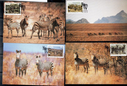 NAMIBIA 1991 WWF FAUNA ANIMALS ZEBRA ZEBRAS COMPLETE SET SERIE COMPLETA MAXI MAXIMUM CARD CARTE - Namibie (1990- ...)