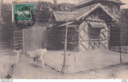 D37  TOURS  Pensionnaires Du Jardin Des Plantes - Tours