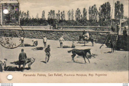 ARGENTINE  Marcando Potros SAN RAFAEL ( Provincia Mendoza ) - Argentine