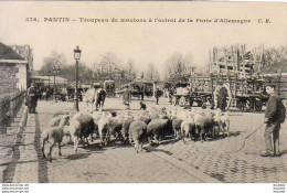 D93  PANTIN  Troupeau De Moutons à L'Octroi De La Porte D'Allemagne - Pantin