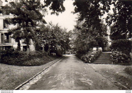 D64  SALIES DE BÉARN  ...........  LOT DE 10 CARTES POSTALES - Salies De Bearn