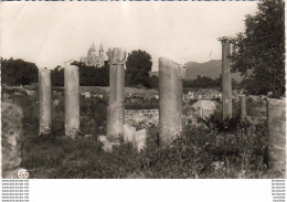 ALGERIE  BONE  Les Ruines D' Hyppone Et La Basilique   ..... - Annaba (Bône)