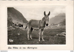 D65  MAITRE ALIBORON  Les Hôtes De Nos Montagnes   ..... - Otros & Sin Clasificación