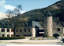 D65  ST- LARY  Le Centre De St- Lary, La Mairie, La Tour De Hachan   ..... - Otros & Sin Clasificación