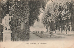FRANCE - Versailles - Château - L'Allée D'eau - Carte Postale Ancienne - Versailles (Schloß)