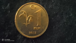 TÜRKİYE -2013    1     KURUŞ       XF- - Turquia