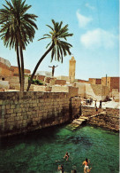 TUNISIE - Gafsa - La Piscine Romaine - Vue Générale - Animé - Carte Postale - Tunisie