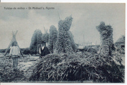 Carte Postale Ancienne Açores - Toldas De Milho. St. Michael's - Agriculture, Maïs - Açores