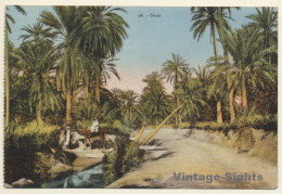 Tunisia: Oasis - Camels - Berber (Vintage PC 1927) - Otros & Sin Clasificación