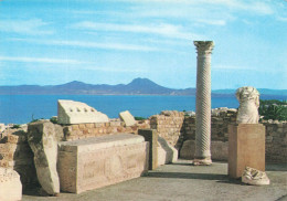 TUNISIE - Carthage - Antiquarium - Vue Générale - Vue De La Mer Au Loin - Carte Postale - Tunesien