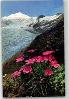 39177807 - Dianthus Glacialis Alpenflora Serie 523 Nr. 945 AK - Autres & Non Classés