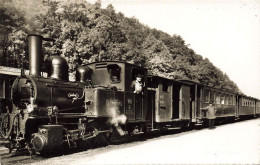 MIKIBP10-013- SUISSE WALDENBURG LOCOMOTIVE TRAIN - Waldenburg