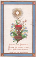 SOUVENIR DE COMMUNION  EDITION BOUASSE JEUNE  Format 11X7CM - Andachtsbilder